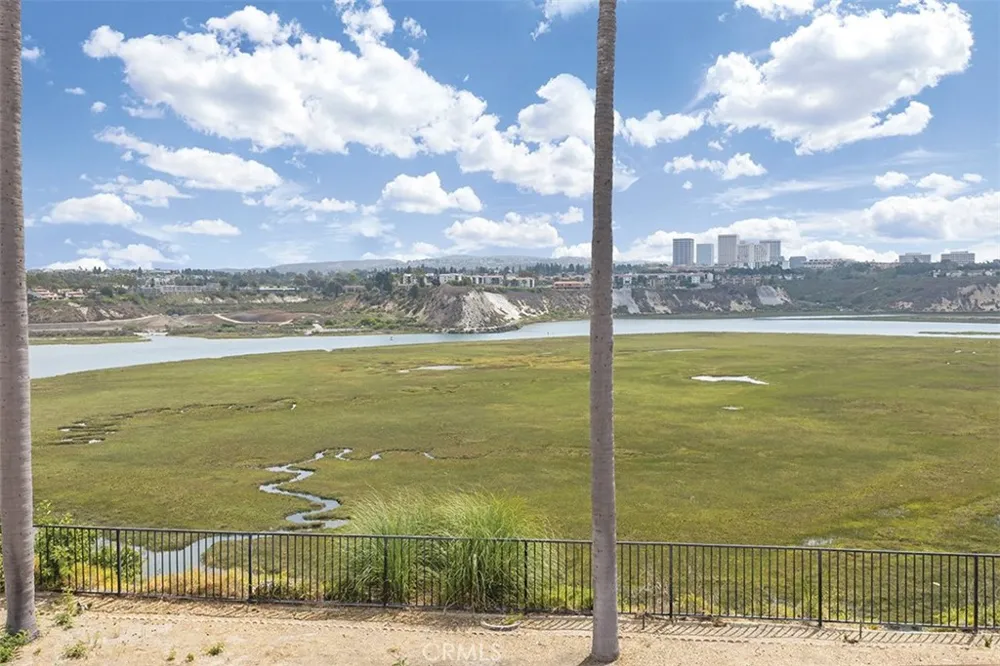 1542 Galaxy Drive Newport Beach, CA 92660