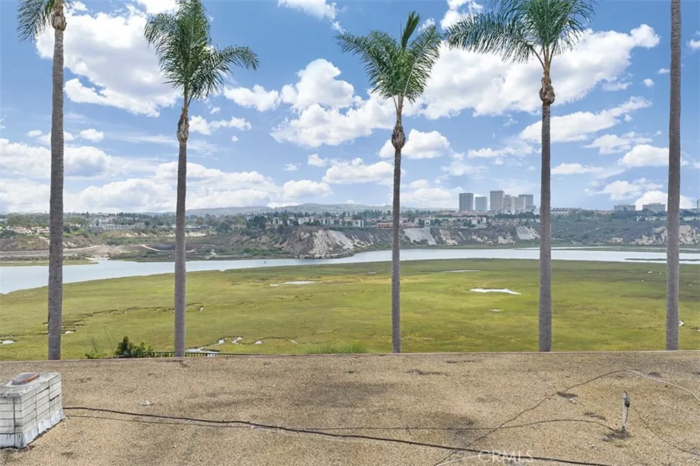 1542 Galaxy Drive Newport Beach, CA 92660