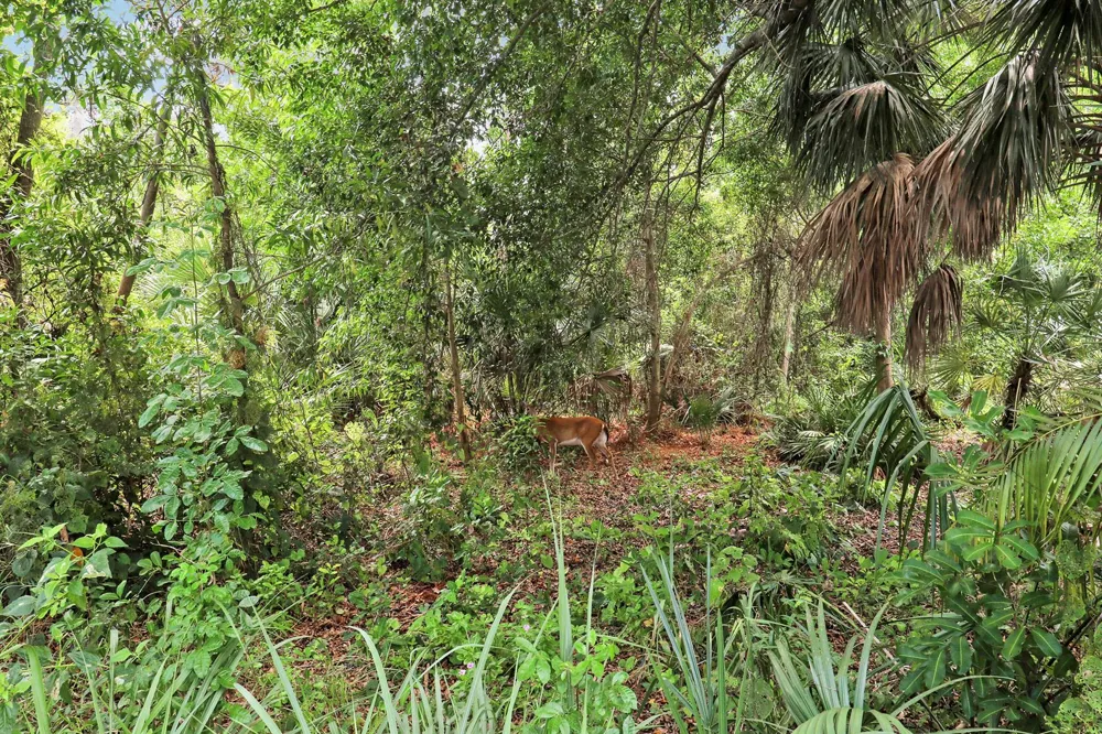 18081 SE Country Club Drive #37-361 Tequesta, FL 33469