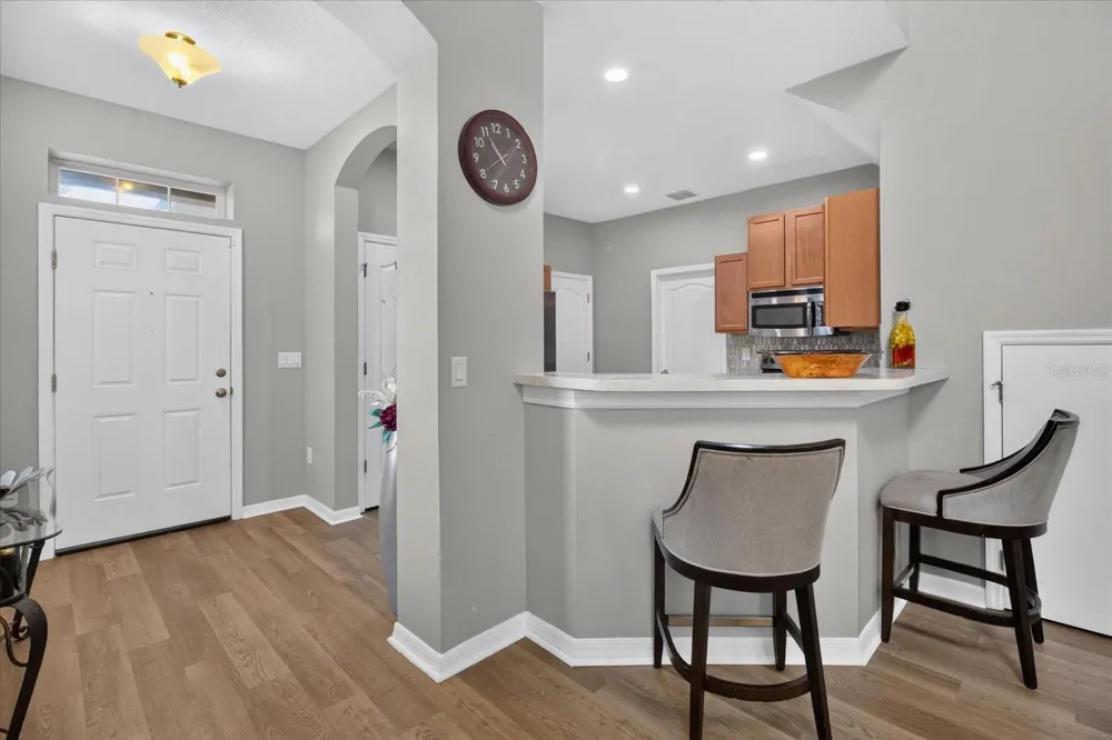 2169 BROADWAY VIEW AVENUE Brandon, FL 33510