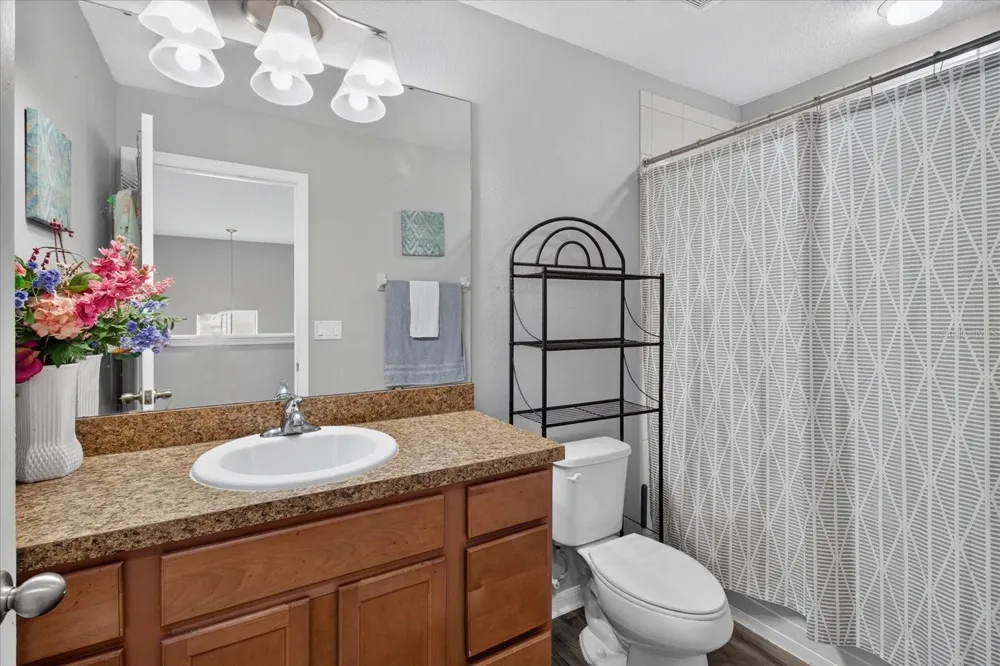 2169 BROADWAY VIEW AVENUE Brandon, FL 33510