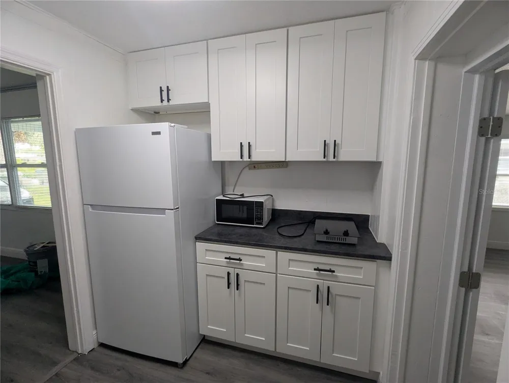 1513 AKRON DRIVE Leesburg, FL 34748