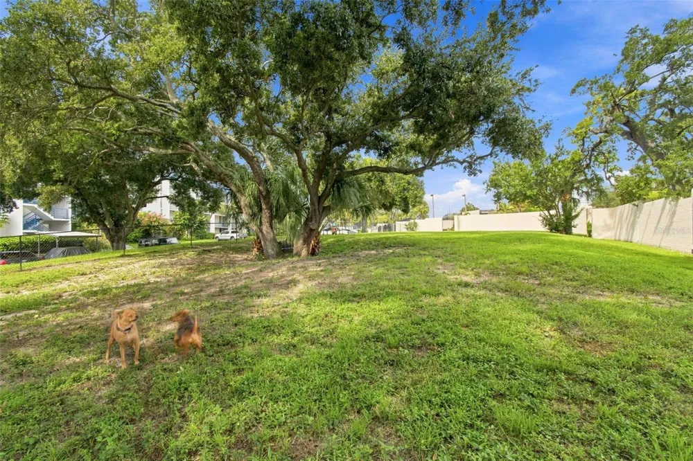 2424 W TAMPA BAY BOULEVARD #L404 Tampa, FL 33607