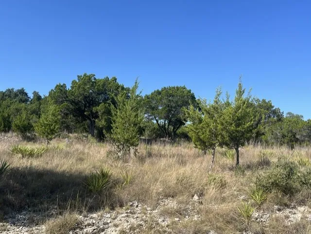 4504 Silverhill Drive Lago Vista, TX 78645