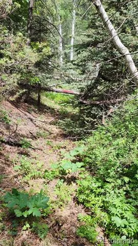 00 HWY 160 Fort Garland, CO 81133