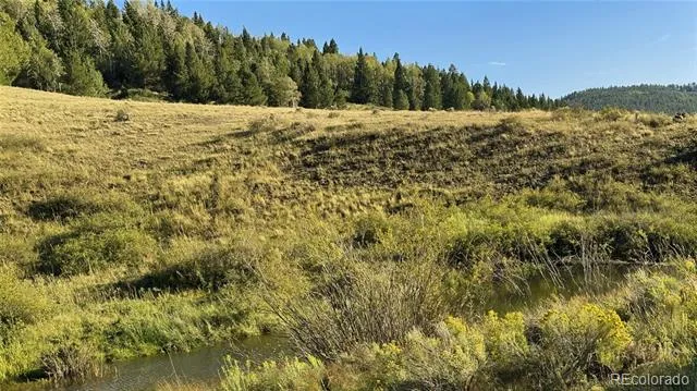 00 HWY 160 Fort Garland, CO 81133