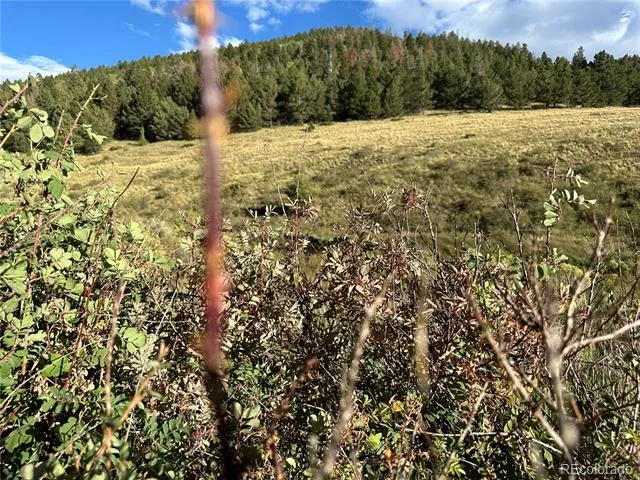 00 HWY 160 Fort Garland, CO 81133