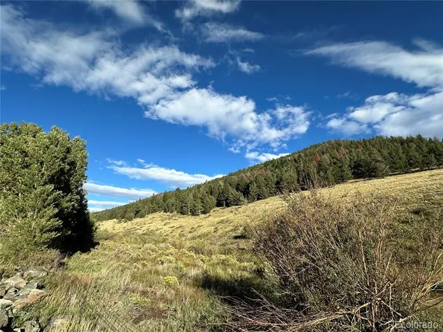 00 HWY 160 Fort Garland, CO 81133