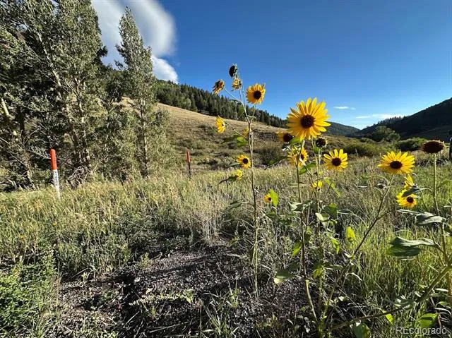 00 HWY 160 Fort Garland, CO 81133