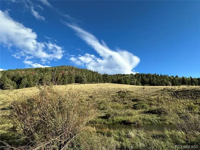 00 HWY 160 Fort Garland, CO 81133