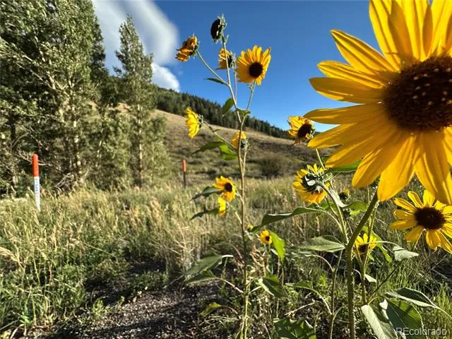 00 HWY 160 Fort Garland, CO 81133