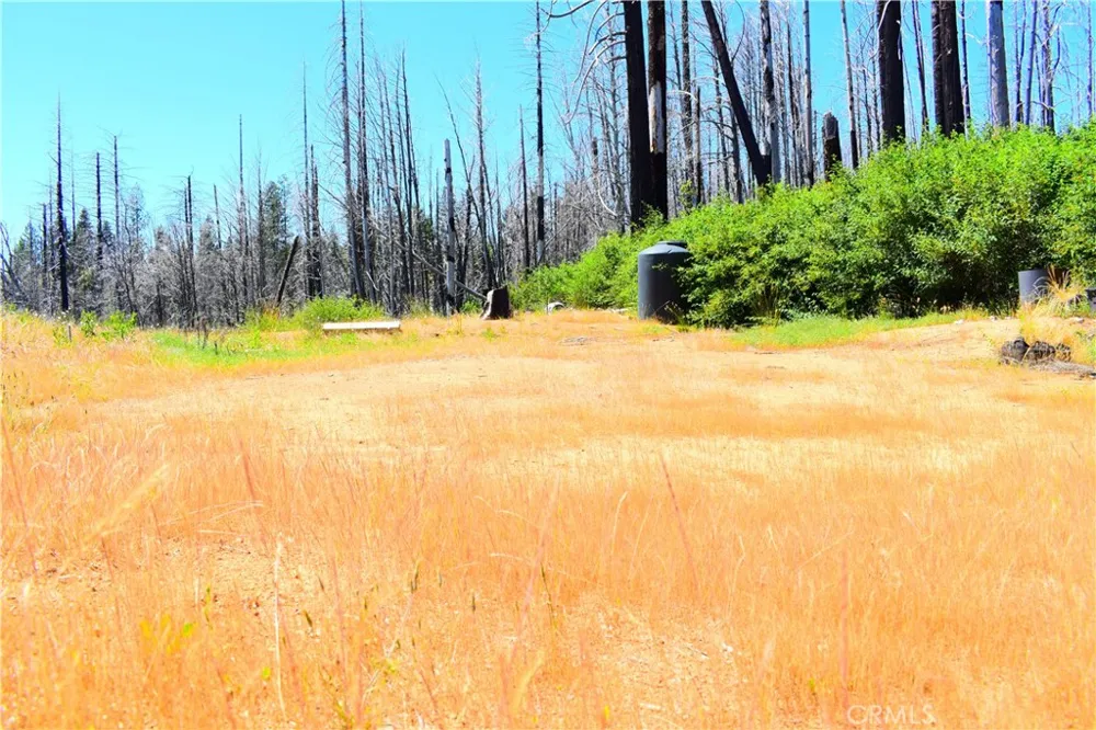461 Milsap Bar Berry Creek, CA 95916