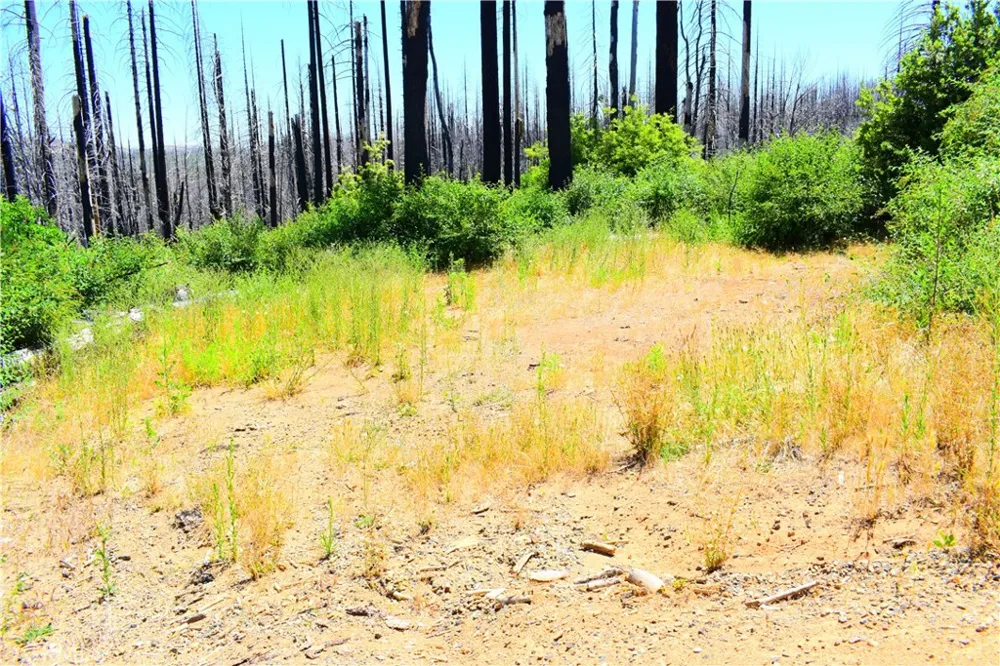 461 Milsap Bar Berry Creek, CA 95916