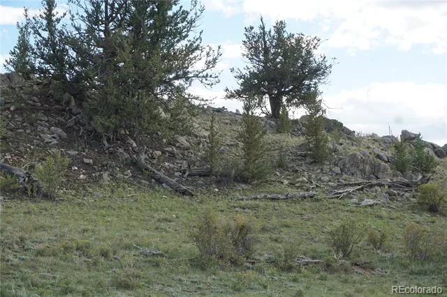 1022 Walls Street Hartsel, CO 80449