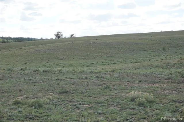 1022 Walls Street Hartsel, CO 80449