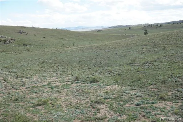 1022 Walls Street Hartsel, CO 80449