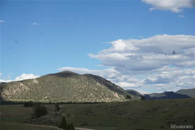 1022 Walls Street Hartsel, CO 80449