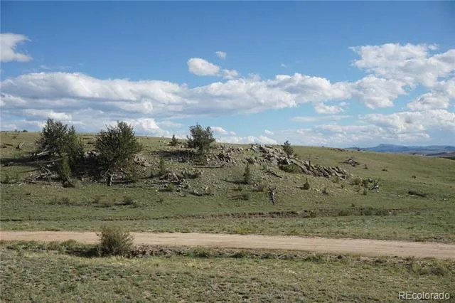 1022 Walls Street Hartsel, CO 80449