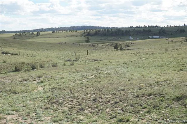 1022 Walls Street Hartsel, CO 80449