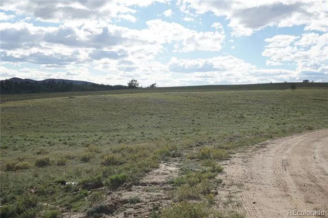 1022 Walls Street Hartsel, CO 80449