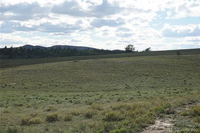 1022 Walls Street Hartsel, CO 80449