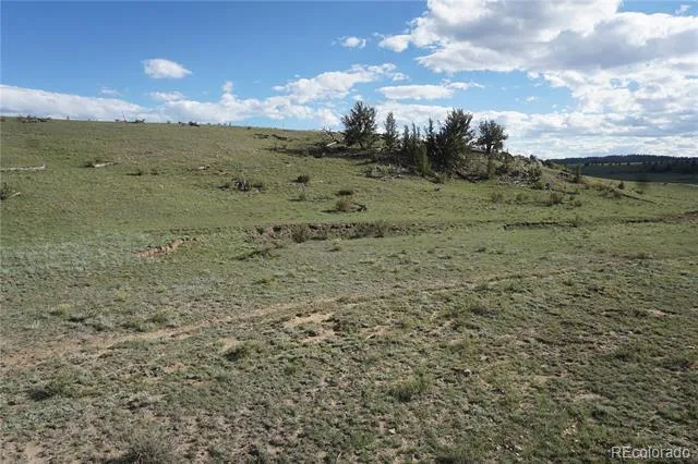 1022 Walls Street Hartsel, CO 80449