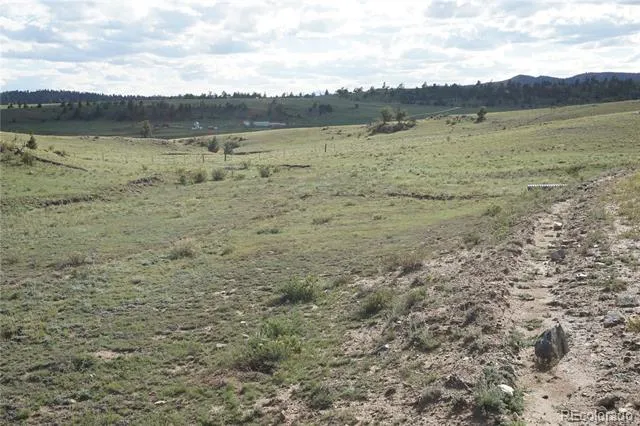 1022 Walls Street Hartsel, CO 80449