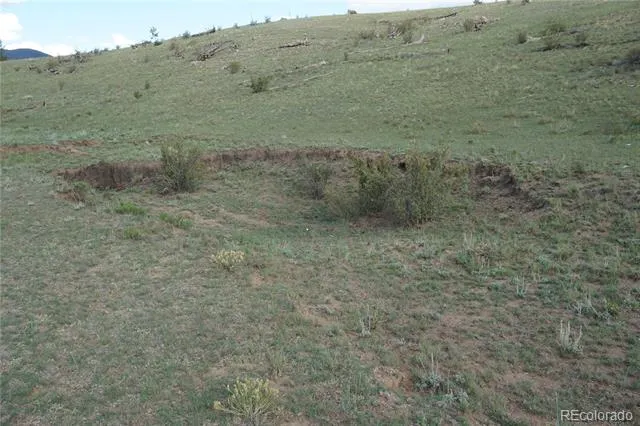 1022 Walls Street Hartsel, CO 80449