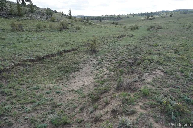 1022 Walls Street Hartsel, CO 80449