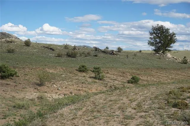 907 Walls Street Hartsel, CO 80449