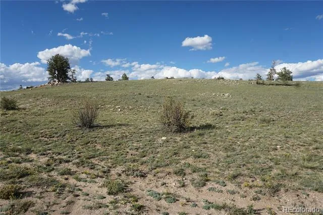 907 Walls Street Hartsel, CO 80449