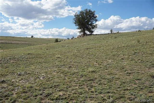 907 Walls Street Hartsel, CO 80449