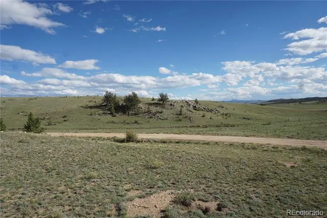 907 Walls Street Hartsel, CO 80449