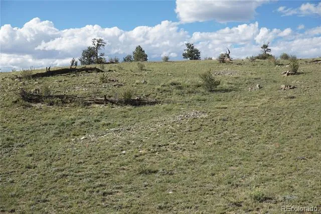 907 Walls Street Hartsel, CO 80449