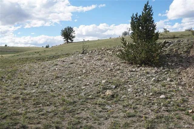 907 Walls Street Hartsel, CO 80449
