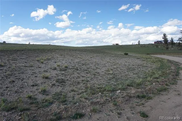 907 Walls Street Hartsel, CO 80449