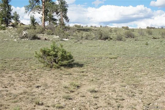 907 Walls Street Hartsel, CO 80449