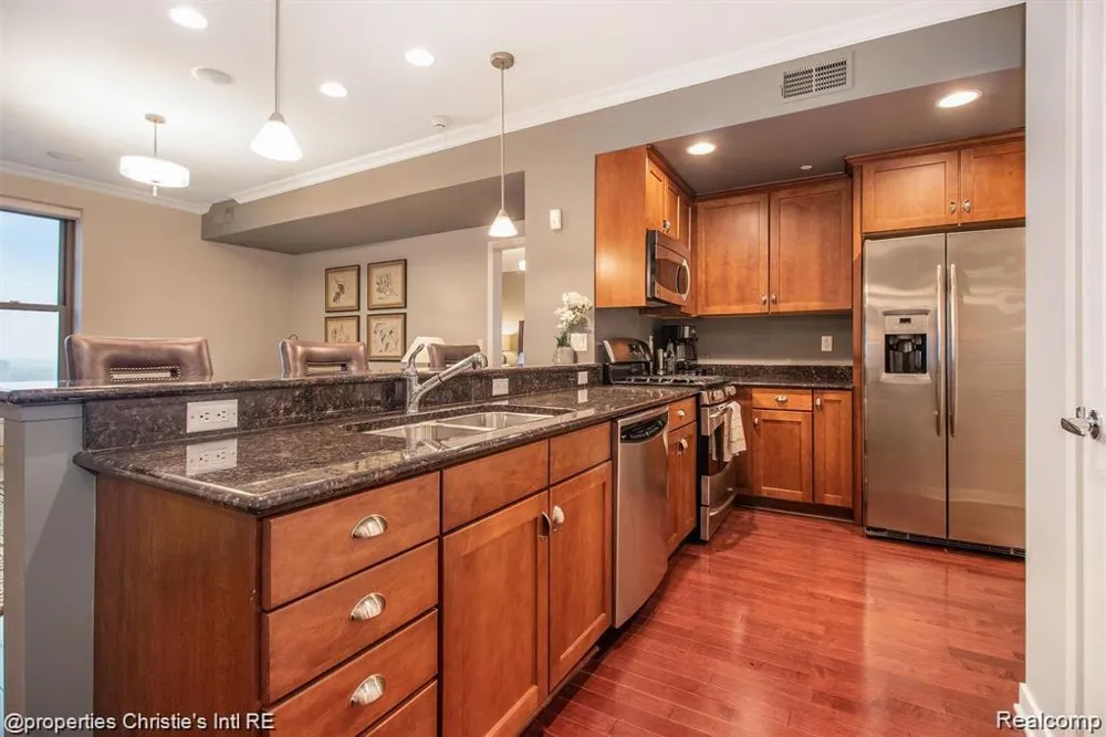 1135 SHELBY STREET #2509 Detroit City, MI 48226