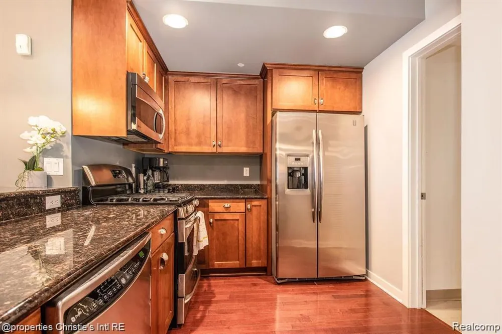 1135 SHELBY STREET #2509 Detroit City, MI 48226