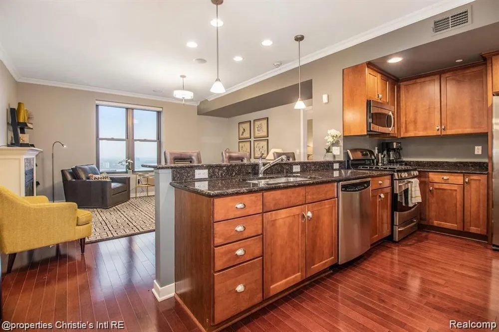 1135 SHELBY STREET #2509 Detroit City, MI 48226