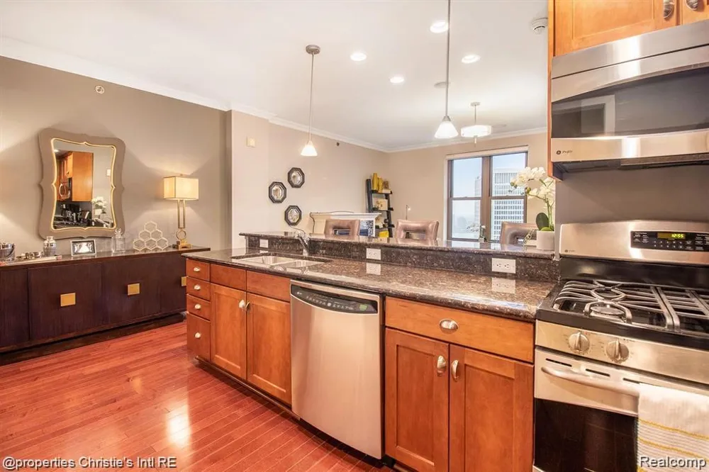 1135 SHELBY STREET #2509 Detroit City, MI 48226