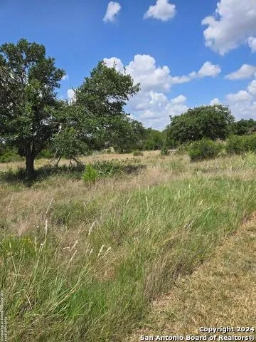 1961 ZINFANDEL New Braunfels, TX 78132