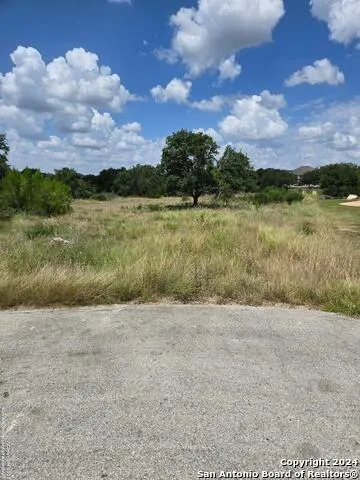 1961 ZINFANDEL New Braunfels, TX 78132
