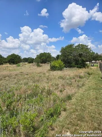 1961 ZINFANDEL New Braunfels, TX 78132