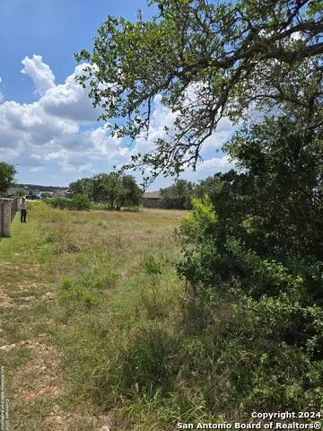 1961 ZINFANDEL New Braunfels, TX 78132