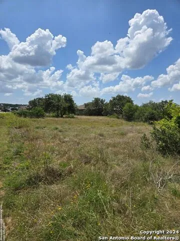 1961 ZINFANDEL New Braunfels, TX 78132
