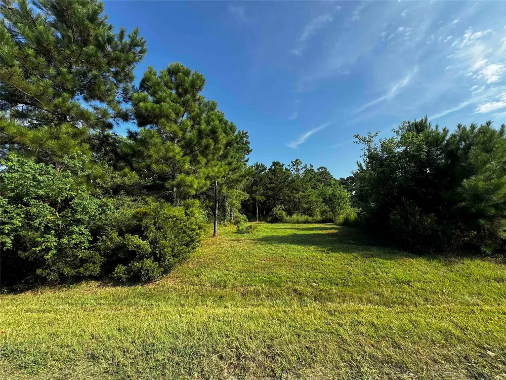 801 County Road 3479j Cleveland, TX 77327