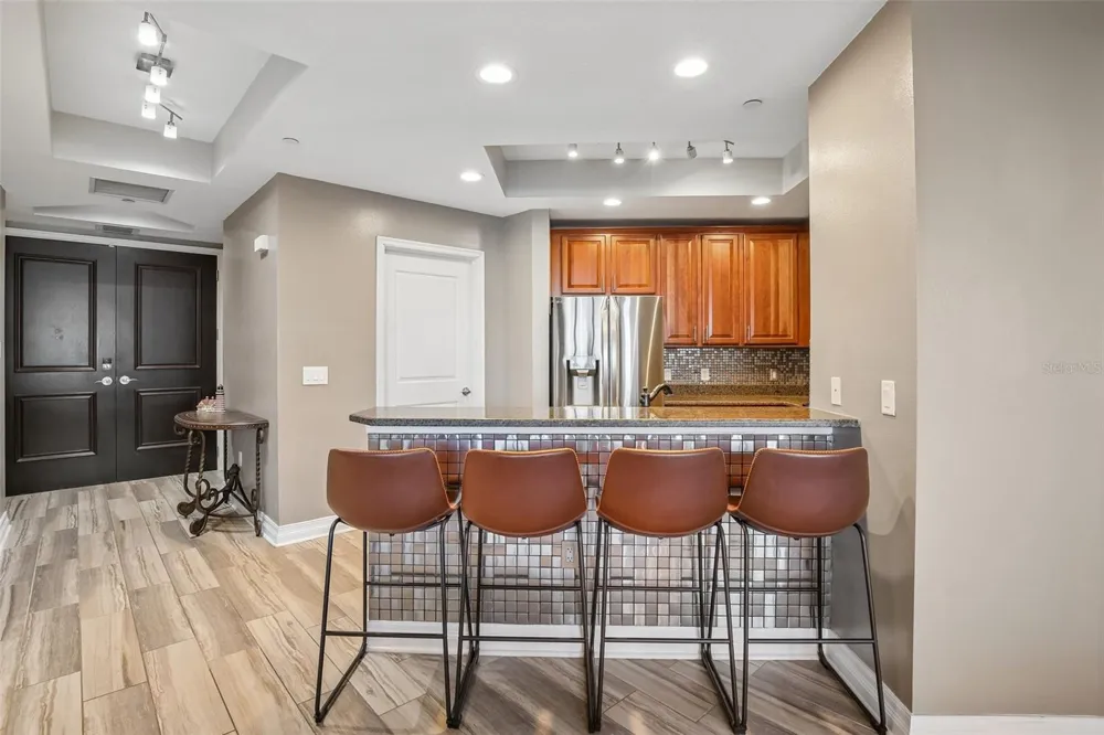 1209 E CUMBERLAND AVENUE #603 Tampa, FL 33602