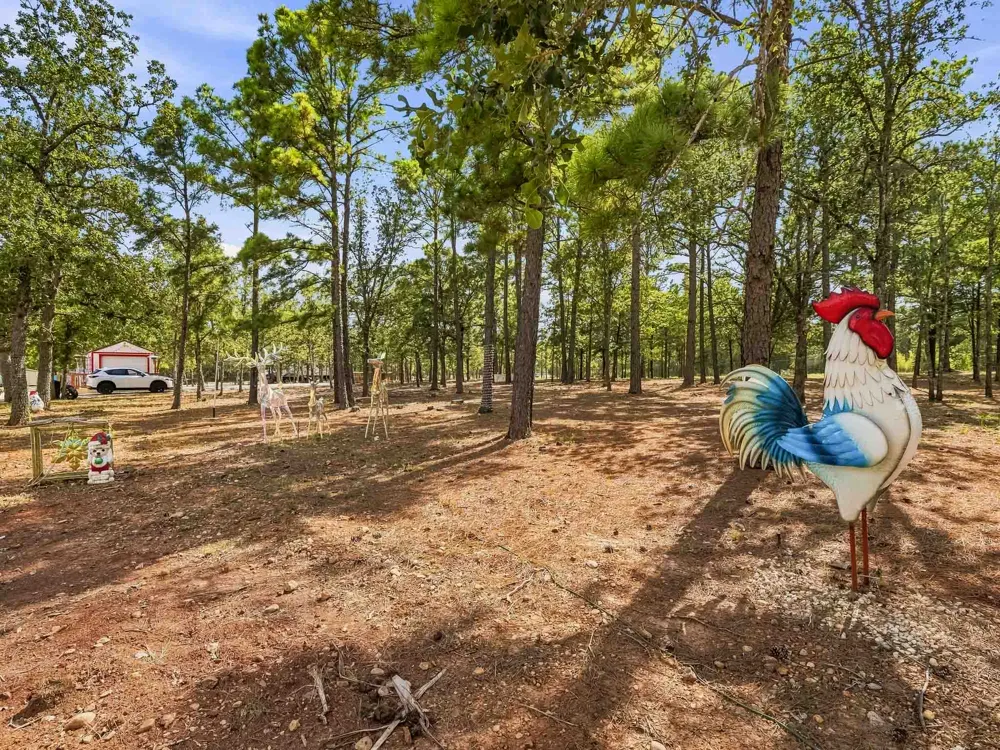 107 Turner Lane Paige, TX 78659