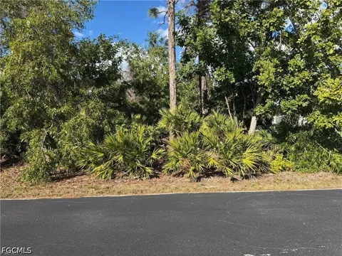 Manatee Drive